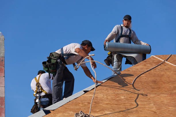 Roof Gutter Cleaning in Farmington, NM